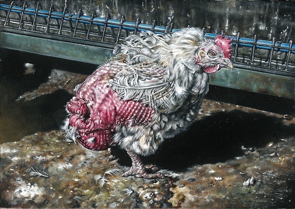 Philip McCulloch-Downs painting of a broiler hen with missing feathers