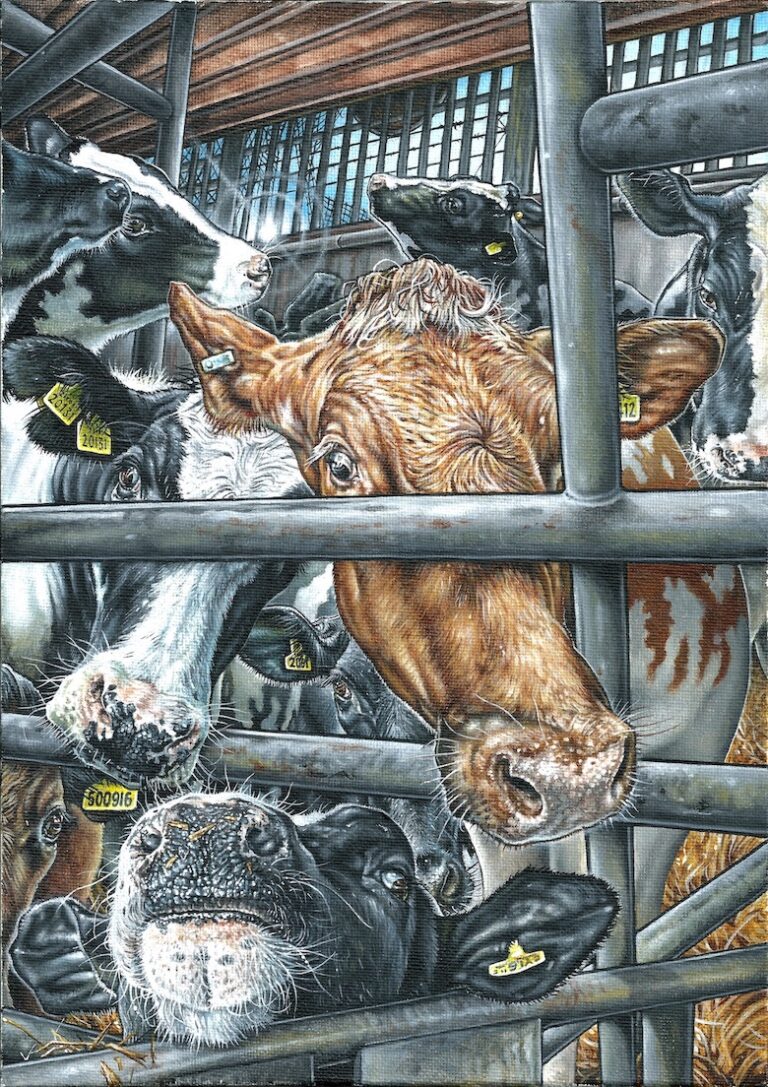 Philip McCulloch-Downs painting of factory farmed cattle