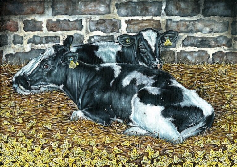 Painting by Phillip McCulloch-Downs of two cows with ear tags lying down together in a brick factory farm