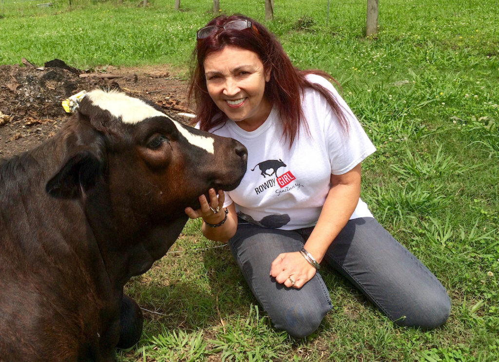 rancher's wife sitting with cow