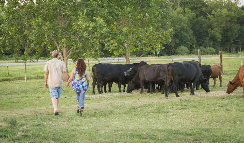 compassionate farming at Rowdy Girl Sanctuary