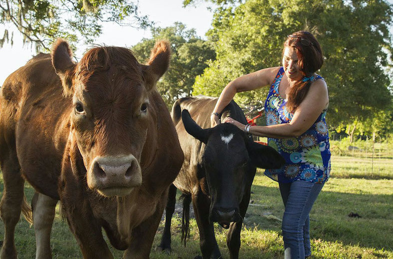 Rancher's wife with cows