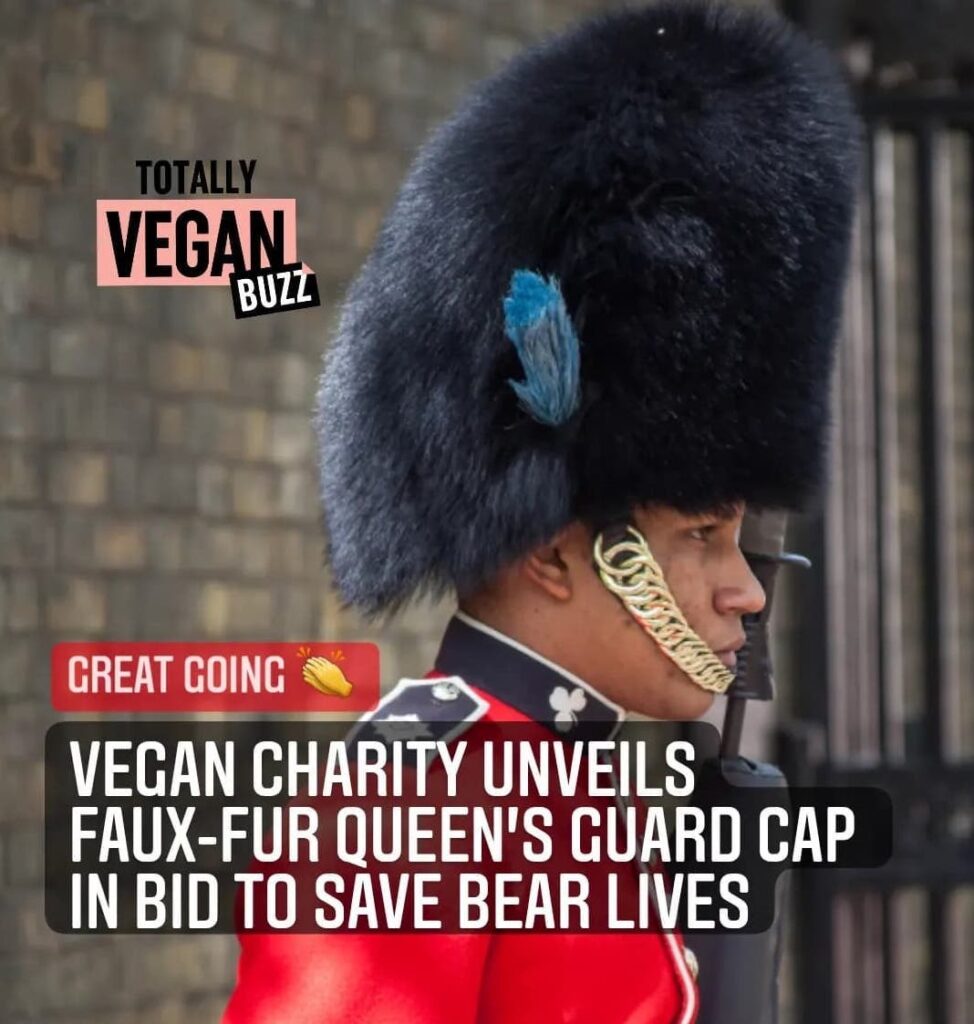 social media meme showing Queen's Guardsman wearing a bear fur hat