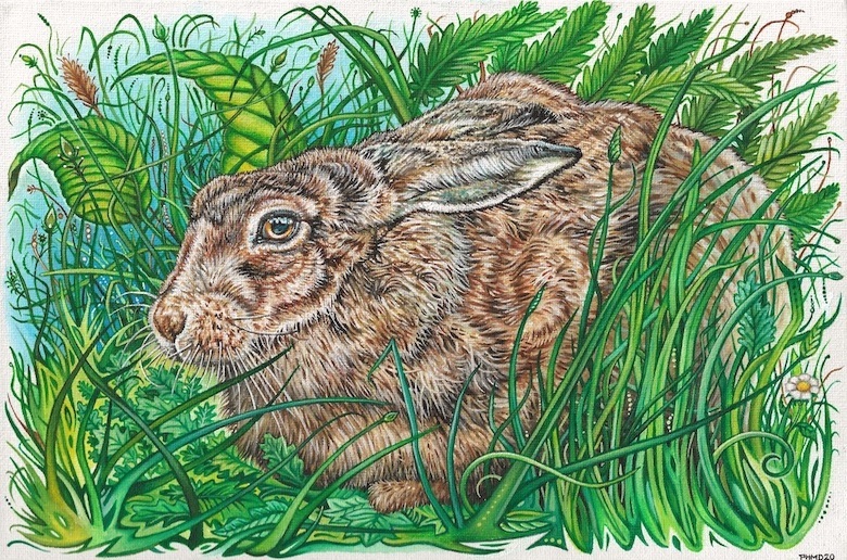 painting of a brown rabbit in the grass by Phillip McCulloch-Downs