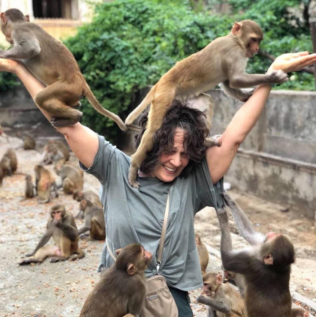 Vegan Storyteller Jeanette McDermott at a monkey temple in India with 5 monkeys climbing on her