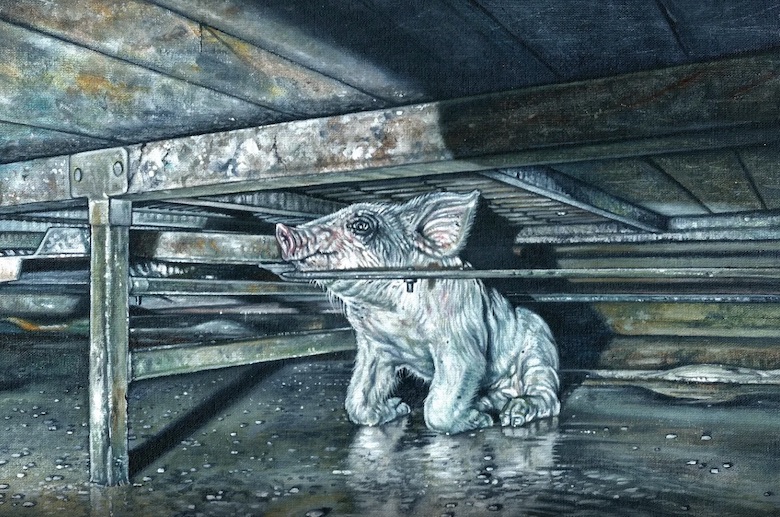 Painting by Phillip McCulloch-Downs of a piglet trapped between bars on a factory farm