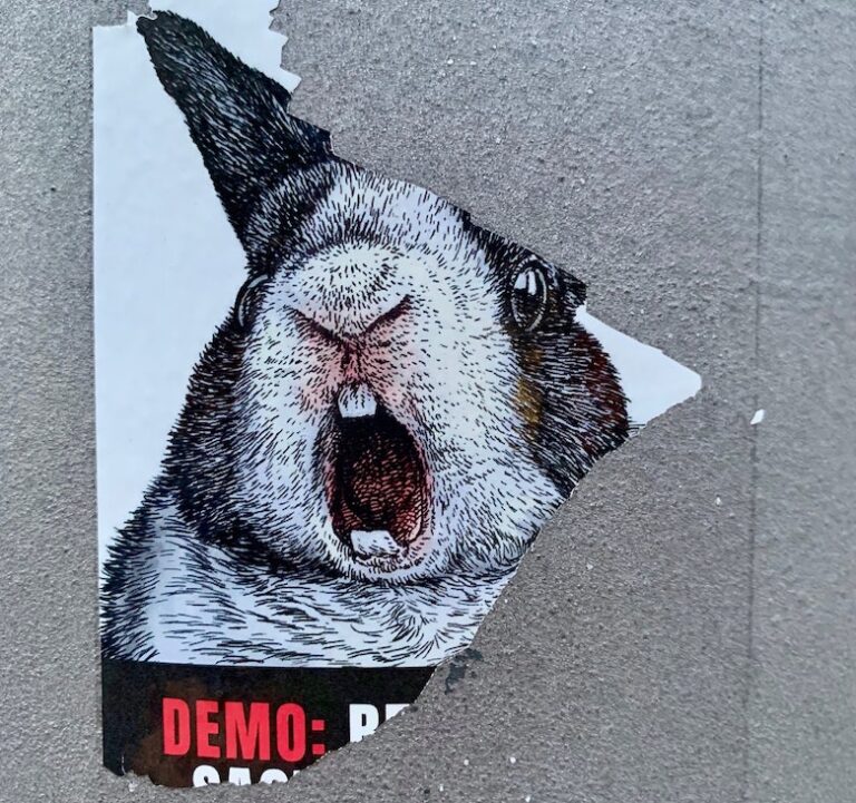 drawing of a rabbit screaming as part of an ad for Vegan advocacy actions
