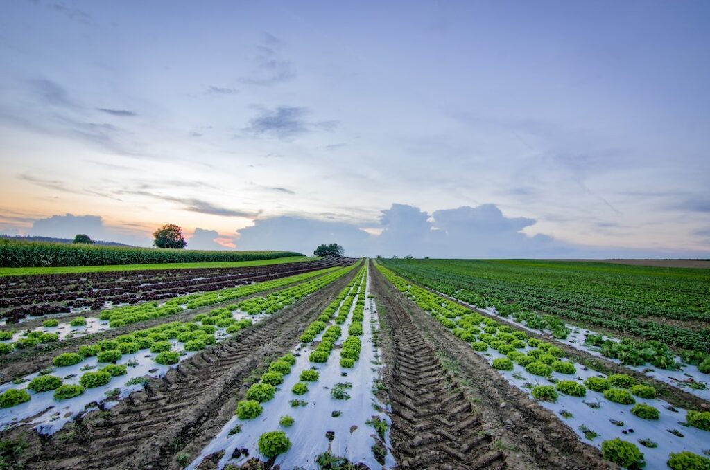 transition to plant-based farming