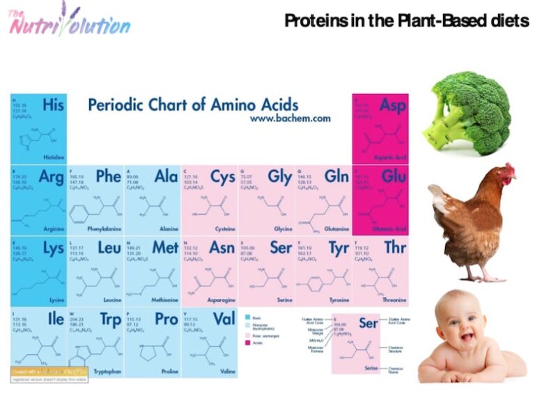 scientific protein chart