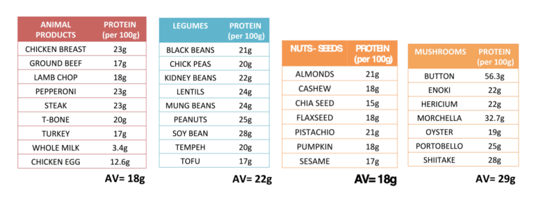 protein comparison chart