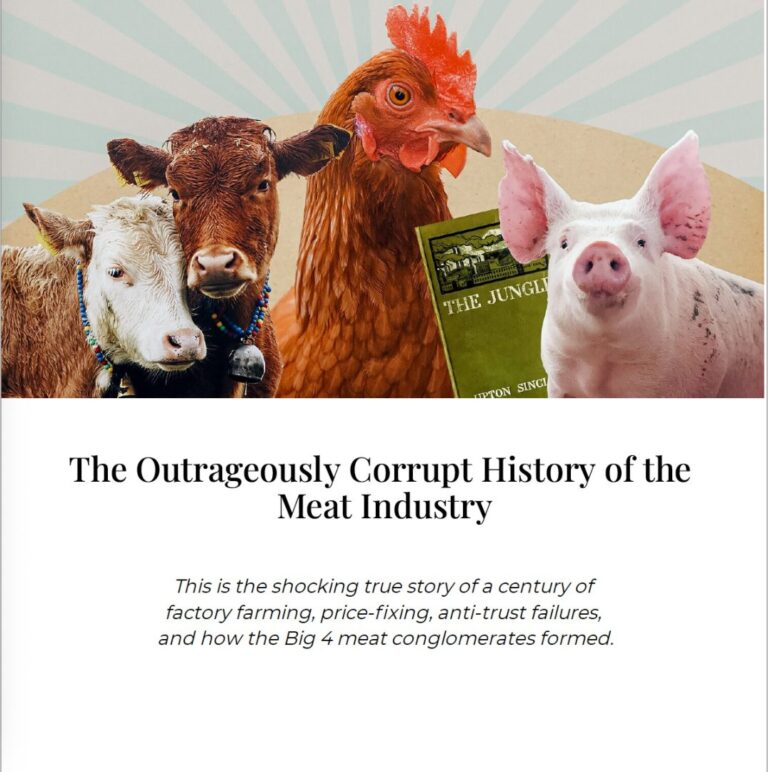 Book cover showing farm animals