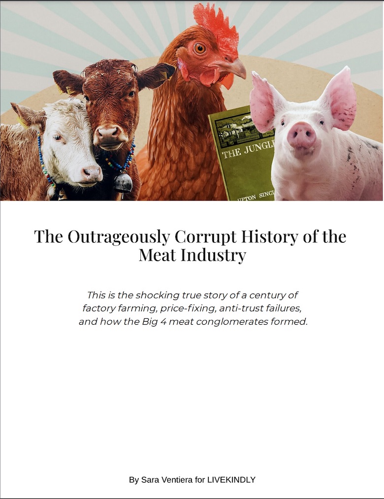 eBook about the corrupt history of the meat industry