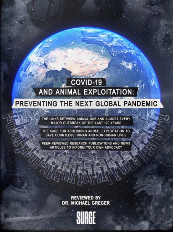 eBook on pandemics and animal exploitation