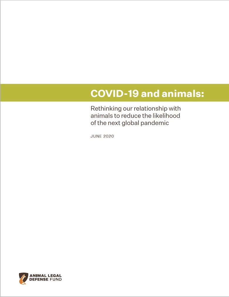 White paper cover COVID19 and animals by Animal Legal Defense Fund