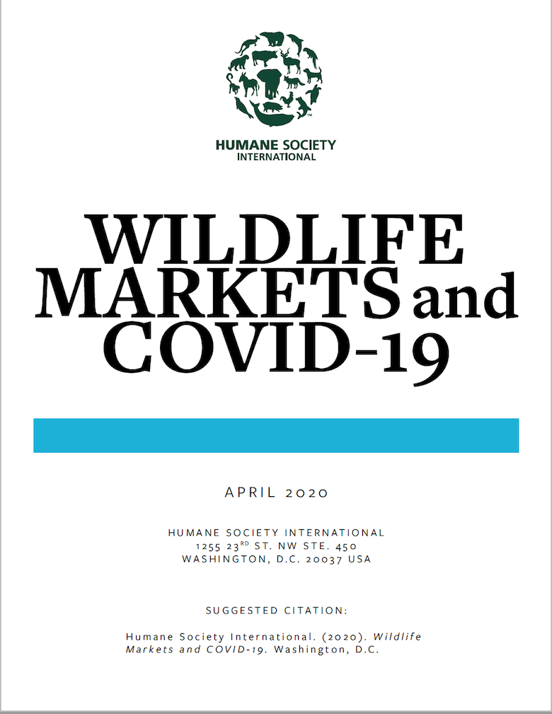 white paper cover wildlife markets and covid 19