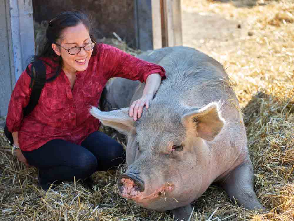 Joanne Kong with adult pig